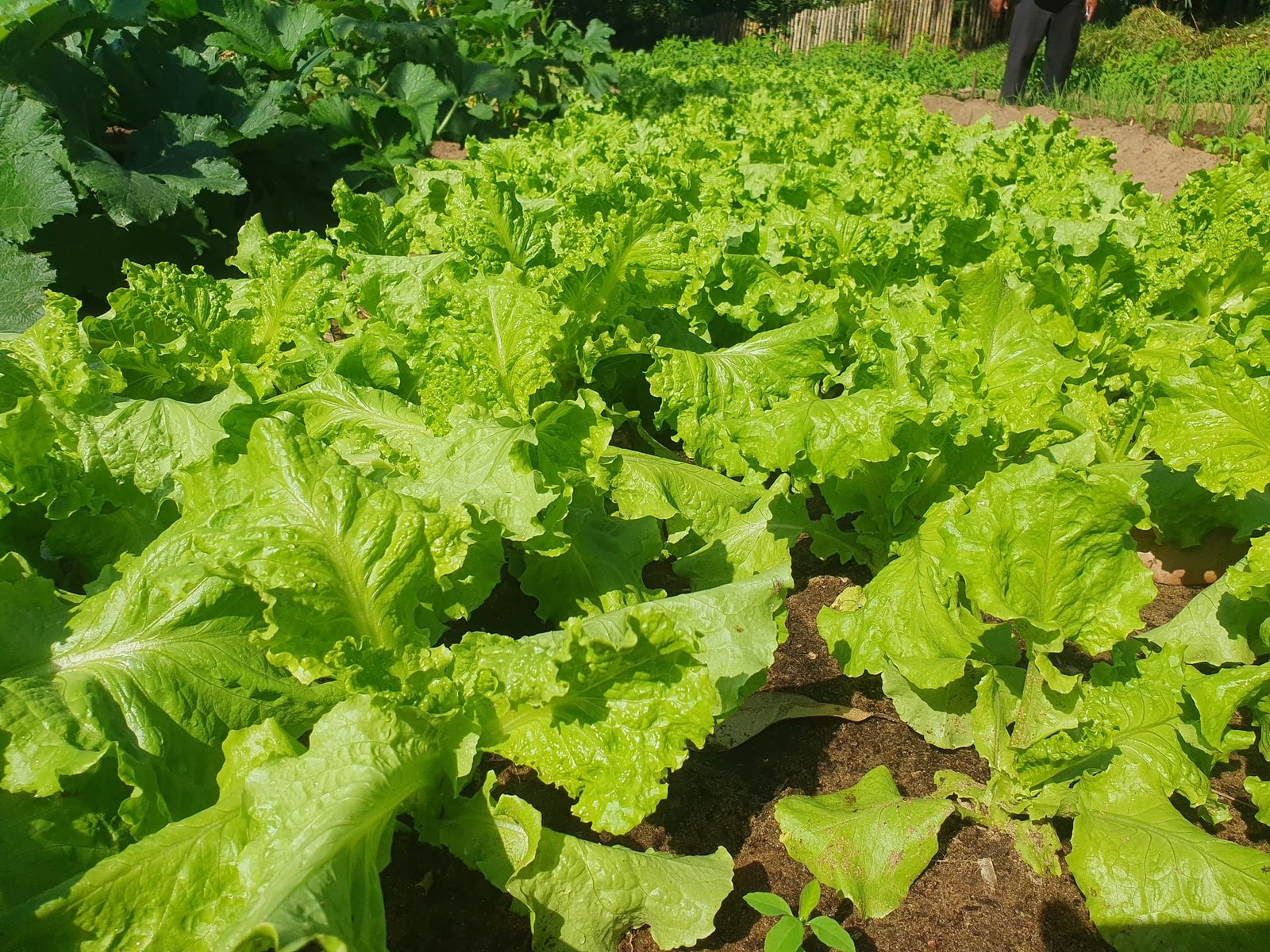 Bio Source Farm | De Déchet à Richesse Durable